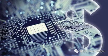 踹高通，弃微软 苹果为何在人工智能基础软件上“朝三暮四”